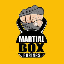 logo martial box